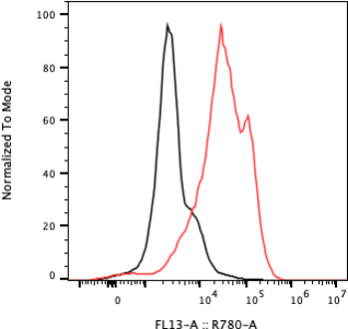 Rabbit-anti CXCL2 monoclonal antibody