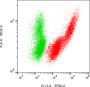 Rabbit-anti OSM monoclonal antibody