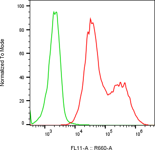 Rabbit-anti CPXM2 monoclonal antibody