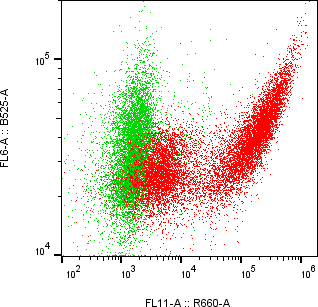 Rabbit-anti LCN12 monoclonal antibody