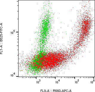 Rabbit-anti GFRA2 monoclonal antibody