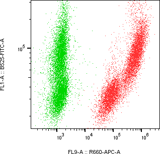 Rabbit-anti CCL16 monoclonal antibody