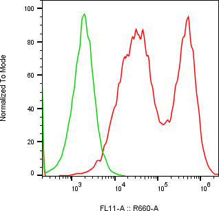 Rabbit-anti SPINK2 monoclonal antibody