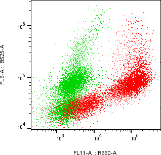 Rabbit-anti SPARC monoclonal antibody