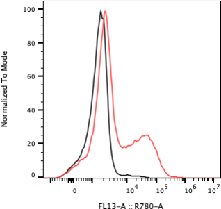 Rabbit-anti KIR2DL1 monoclonal antibody