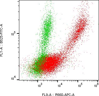 Rabbit-anti GFRA2 monoclonal antibody