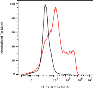 Rabbit-anti GUCA2B monoclonal antibody