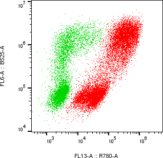 Rabbit-anti CGB5 monoclonal antibody