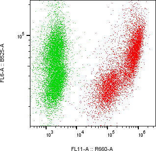 Rabbit-anti CFD monoclonal antibody