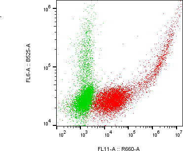 Rabbit-anti CD244 monoclonal antibody