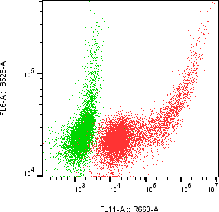 Rabbit-anti SERPINA5 monoclonal antibody