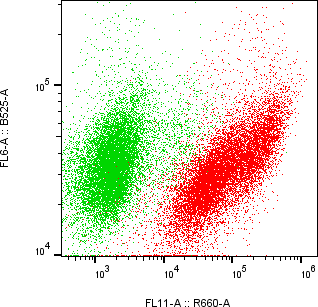 Rabbit-anti HPSE monoclonal antibody