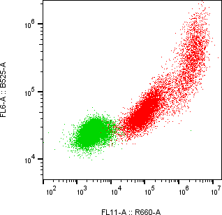 Rabbit-anti CGB2 monoclonal antibody