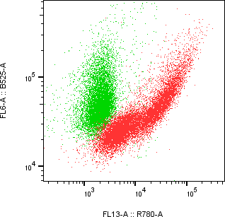 Rabbit-anti NTF4 monoclonal antibody