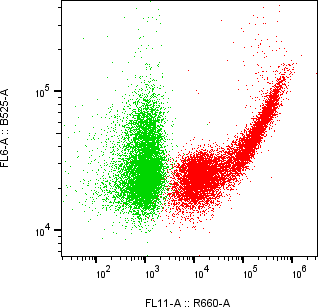 Rabbit-anti COL3A1 monoclonal antibody
