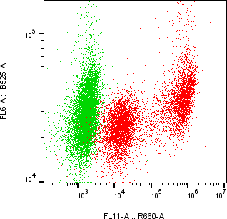 Rabbit-anti CD83 monoclonal antibody