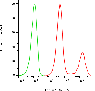 Rabbit-anti PRAP1 monoclonal antibody
