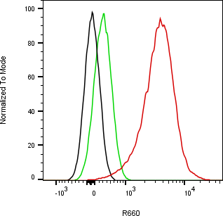 Rabbit-anti SMOC1 monoclonal antibody