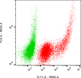 Rabbit-anti SERPINA5 monoclonal antibody