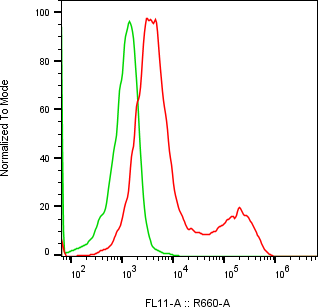 Rabbit-anti CEACAM7 monoclonal antibody