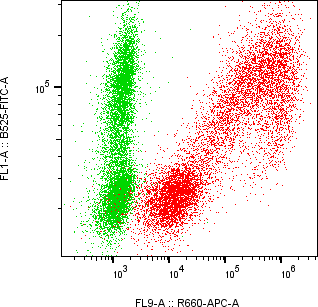 Rabbit-anti SFTPD monoclonal antibody