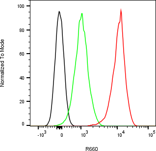 Rabbit-anti SERPINF1 monoclonal antibody