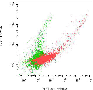Rabbit-anti GPNMB monoclonal antibody