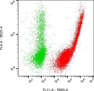 Rabbit-anti NCSTN monoclonal antibody