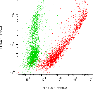 Rabbit-anti LRRN1 monoclonal antibody