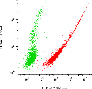 Rabbit-anti RAET1E monoclonal antibody