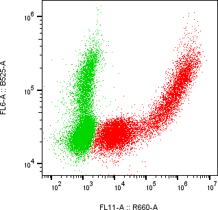 Rabbit-anti VSIG2 monoclonal antibody