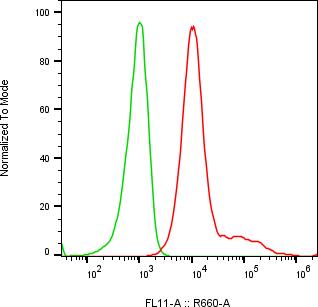 Rabbit-anti SPN monoclonal antibody