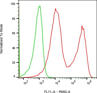 Rabbit-anti LCN1 monoclonal antibody