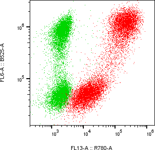 Rabbit-anti B2M monoclonal antibody