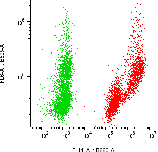 Rabbit-anti CGB1 monoclonal antibody
