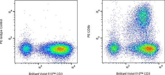 Rabbit-anti CD8B monoclonal antibody