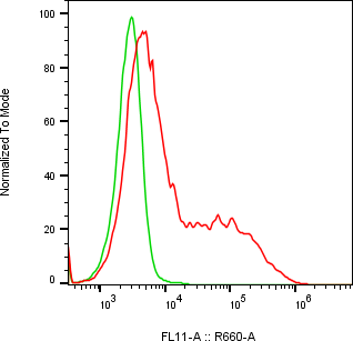 Rabbit-anti CCER2 monoclonal antibody
