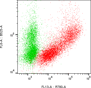 Rabbit-anti ROR2 monoclonal antibody
