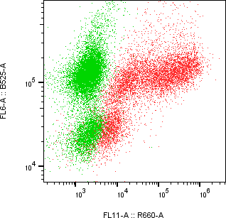 Rabbit-anti NTRK2 monoclonal antibody