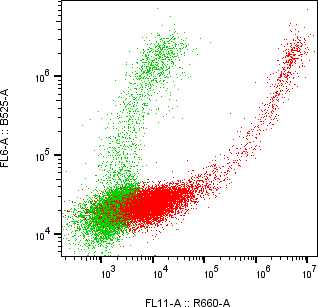 Rabbit-anti IL13RA1 monoclonal antibody