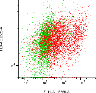 Rabbit-anti GNRH2 monoclonal antibody