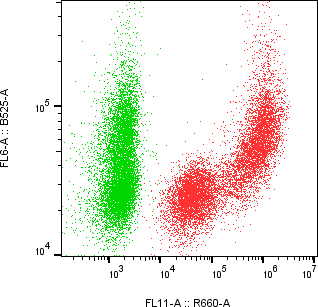 Rabbit-anti REG3A monoclonal antibody