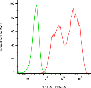 Rabbit-anti PLAU monoclonal antibody
