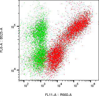 Rabbit-anti PAEP monoclonal antibody