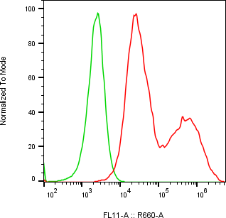 Rabbit-anti SPINK13 monoclonal antibody