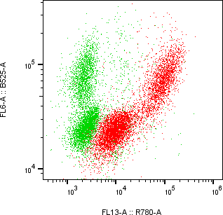 Rabbit-anti CTHRC1 monoclonal antibody