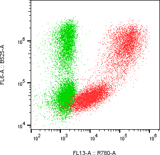 Rabbit-anti BST1 monoclonal antibody