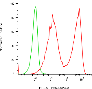 Rabbit-anti CPVL monoclonal antibody