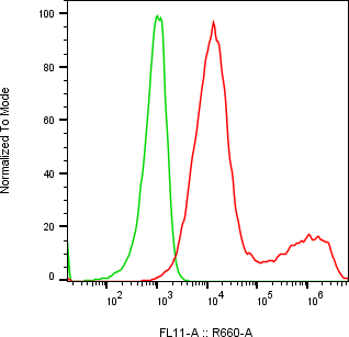 Rabbit-anti TSPAN8 monoclonal antibody
