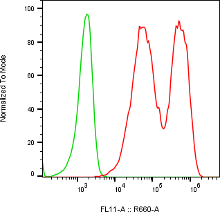 Rabbit-anti AZGP1 monoclonal antibody